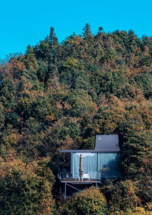 1505102566126625.jpg 085514518.jpg